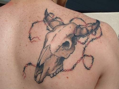 Grey Ink Bull Skull and Barbed Wire Tattoo On Right Back Shoulder